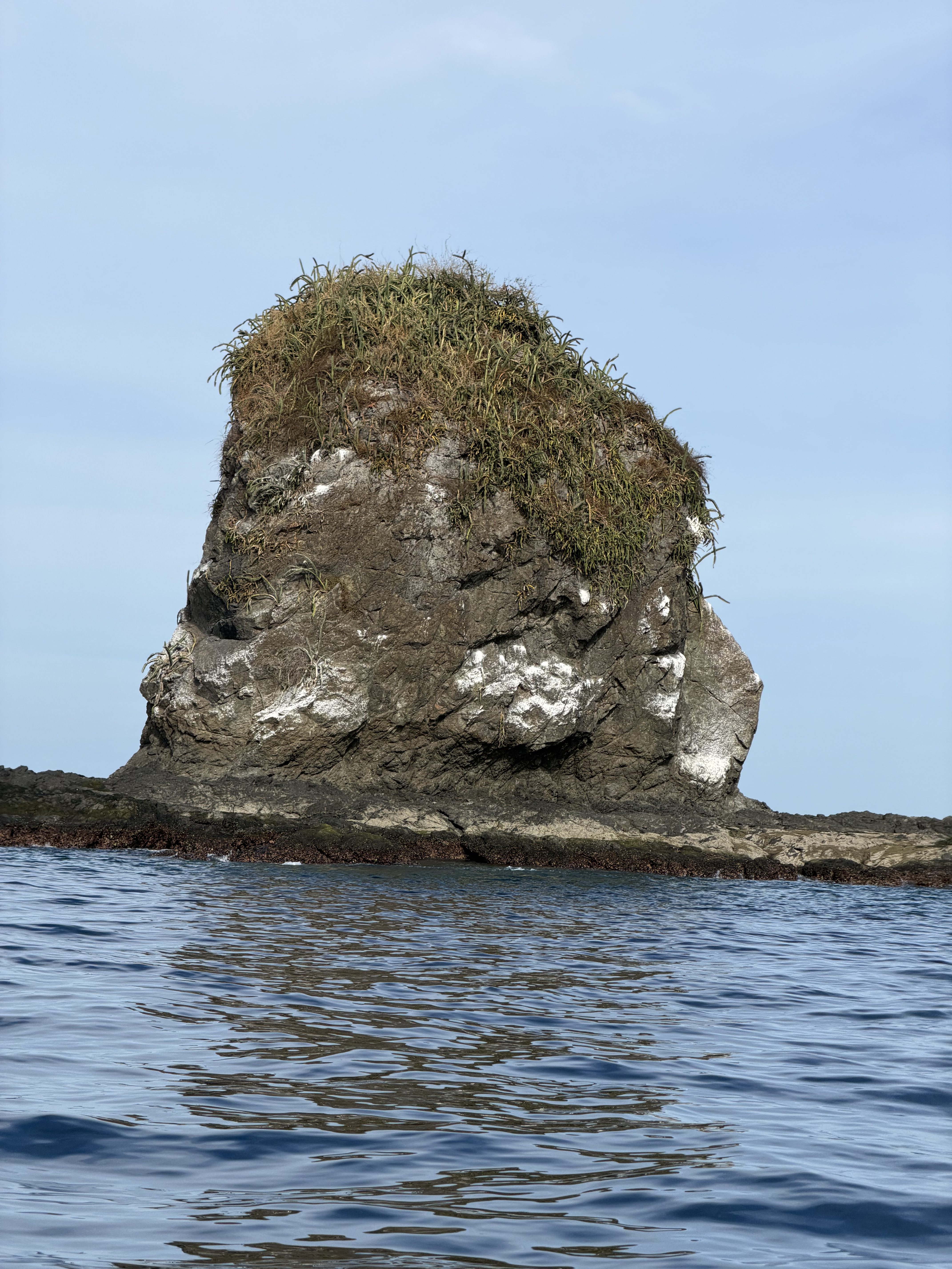 Monkey-shaped rock in the sea.