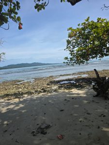 A serene beach scene with soft, sandy shores and scattered rocky areas in the foreground