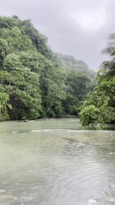Sirena River winding through the rainforest under misty rain in Corcovado National Park, Costa Rica