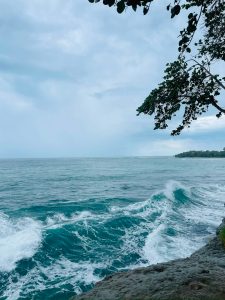 
Gentle waves wash over a rocky shoreline beneath a cloudy sky, with tree branches framing the coast.