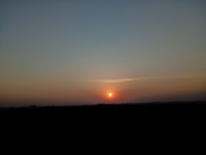A golden sunset over wetlands near Lake Victoria, with a clear sky and soft amber and rose tones.