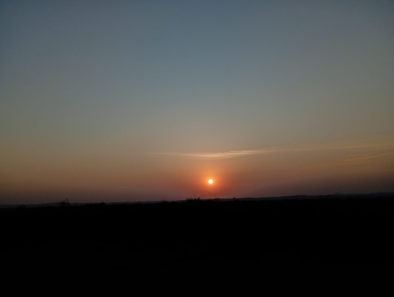 A golden sunset over wetlands near Lake Victoria, with a clear sky and soft amber and rose tones.