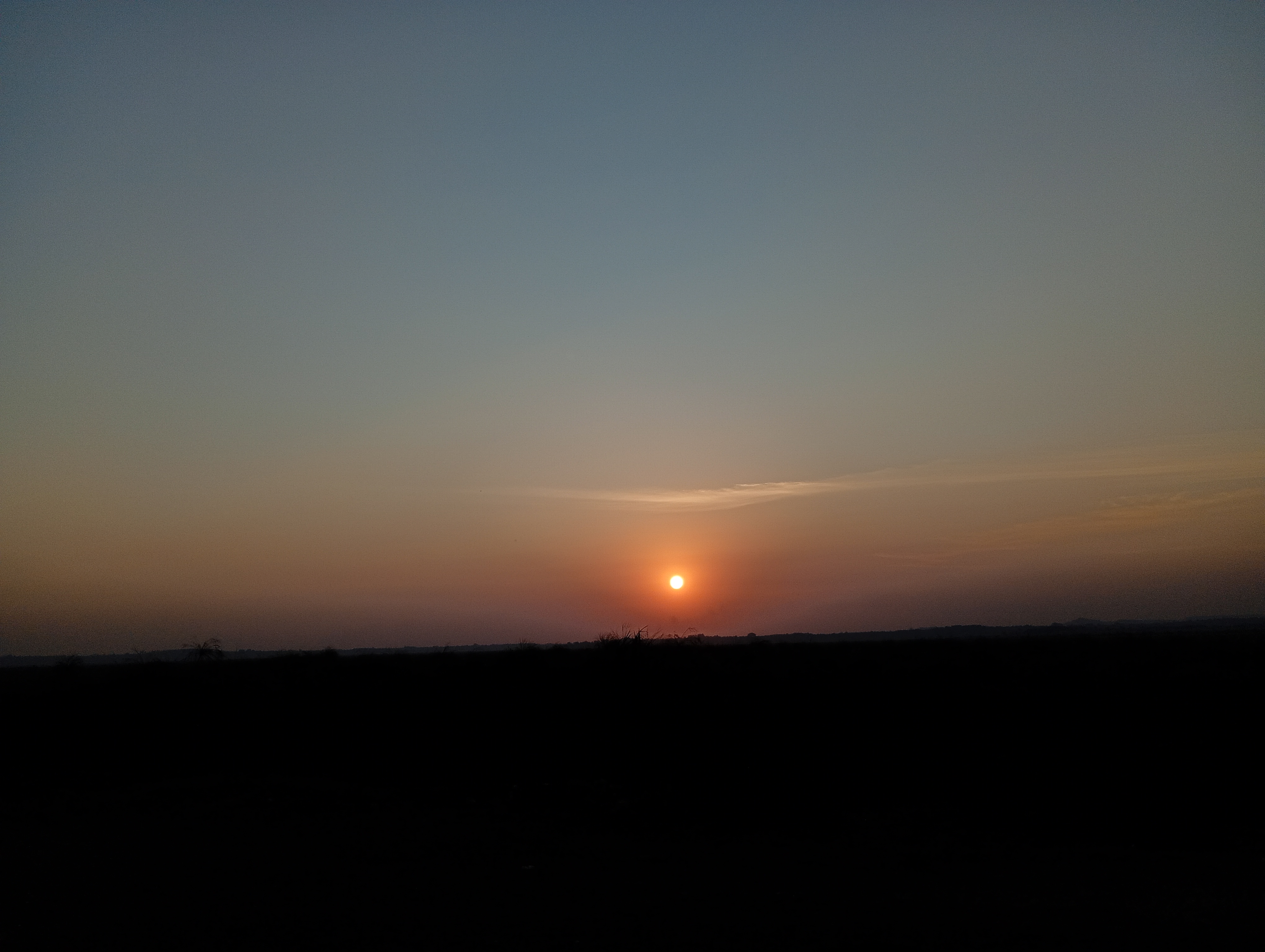 A golden sunset over wetlands near Lake Victoria, with a clear sky and soft amber and rose tones.