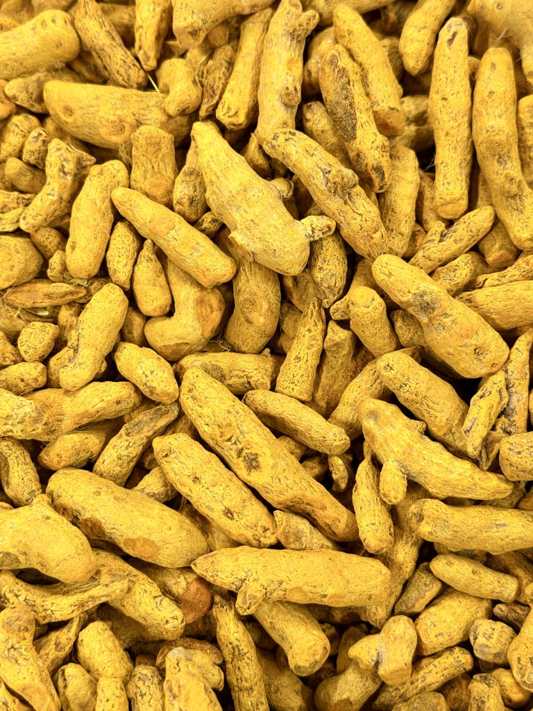 A close-up view of dried turmeric roots fills the frame, showing their natural shapes, rough texture, and bright golden-yellow color. The repeating forms create a simple but striking natural pattern. Captured in Kuttikkattoor, Kozhikode, Kerala.