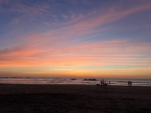 People and dogs walking along a beach at sunset under a colorful orange, pink, and purple sky.