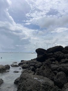 A rocky shoreline with dark stones and shallow blue water along the coast.