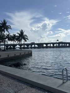 
A calm waterfront with palm trees, a bridge, and a clear sky.