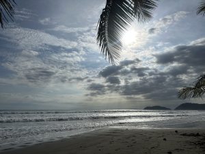 Tropical beach with gentle waves, cloudy skies, and palm leaves in the foreground.