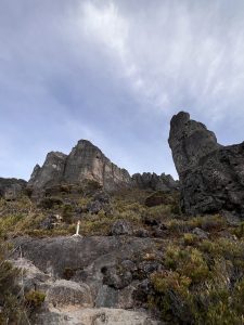 
Los Crestones rock formations rising above the páramo in Chirripó National Park, Costa Rica.