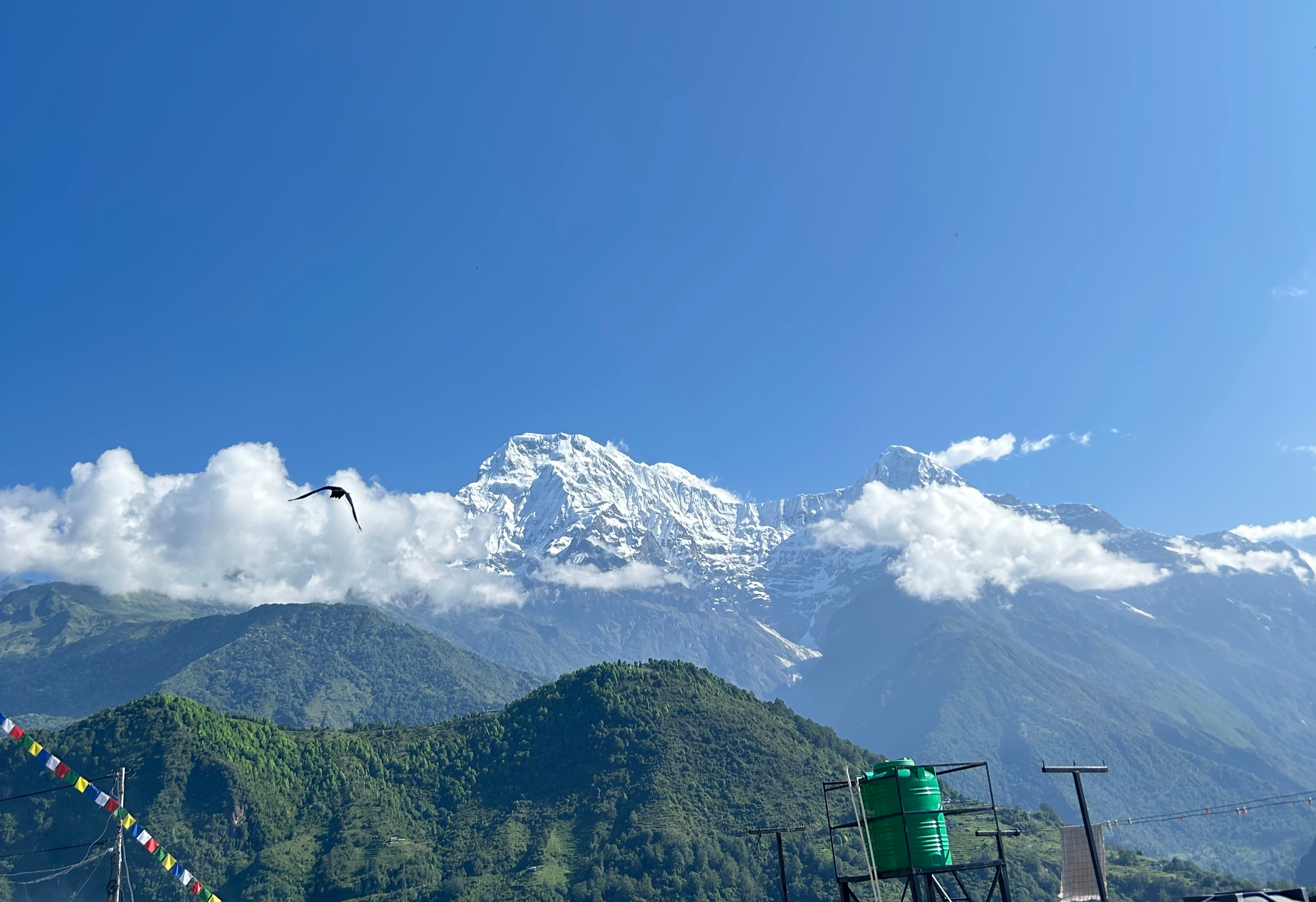 Snow-capped mountains with green slopes, rooftops, a water tank, and colorful prayer flags.