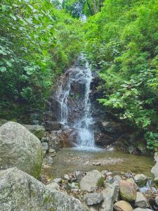 A waterfall flowing over rocks, surrounded by lush green tropical plants.