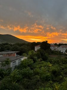 A vibrant sunset paints the sky with shades of orange and yellow, contrasting against a backdrop of darkening clouds. Below, a lush foreground features dense greenery, including tall plants and bushes. To the left, a sloping hill rises, while to the right, several buildings with light-colored exteriors can be seen nestled among the trees.