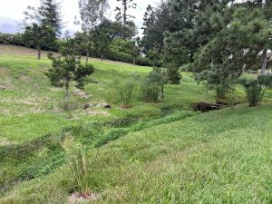 A lush green landscape featuring a gentle slope covered in grass. 