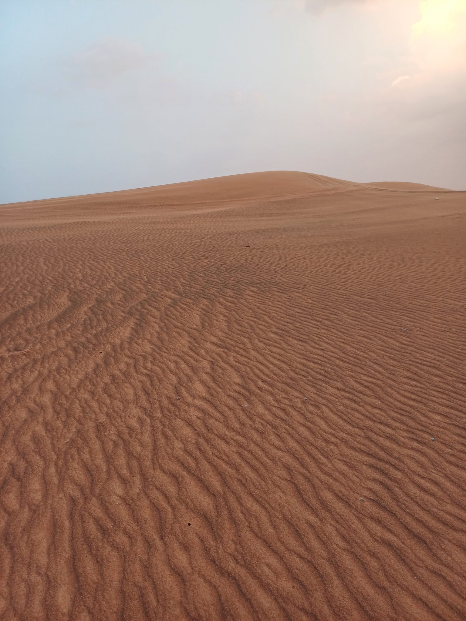 Sandy desert dunes with reddish-brown sand by Anushila Basnet, CC0 (Openverse)