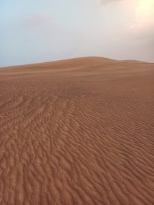 Sandy desert dunes with reddish-brown sand under a partly cloudy sky.