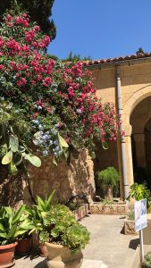 A vibrant, sunlit garden scene featuring a variety of colorful flowers. On the left, clusters of pink blossoms intertwine with blue flowers, creating a striking contrast against the lush green leaves. 