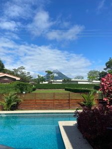 
A swimming pool with mountain and volcano views, surrounded by green plants and purple flowers.