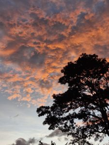 A striking sunset scene featuring a dramatic sky filled with swirling clouds.
