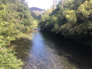 
Clear river flowing through a lush forest with wooded hills in the background.