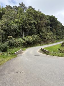 A paved road curving to the right over a small bridge with low concrete barriers. Lush, dense green trees and vegetation cover the hillside next to the road under a bright sky.
