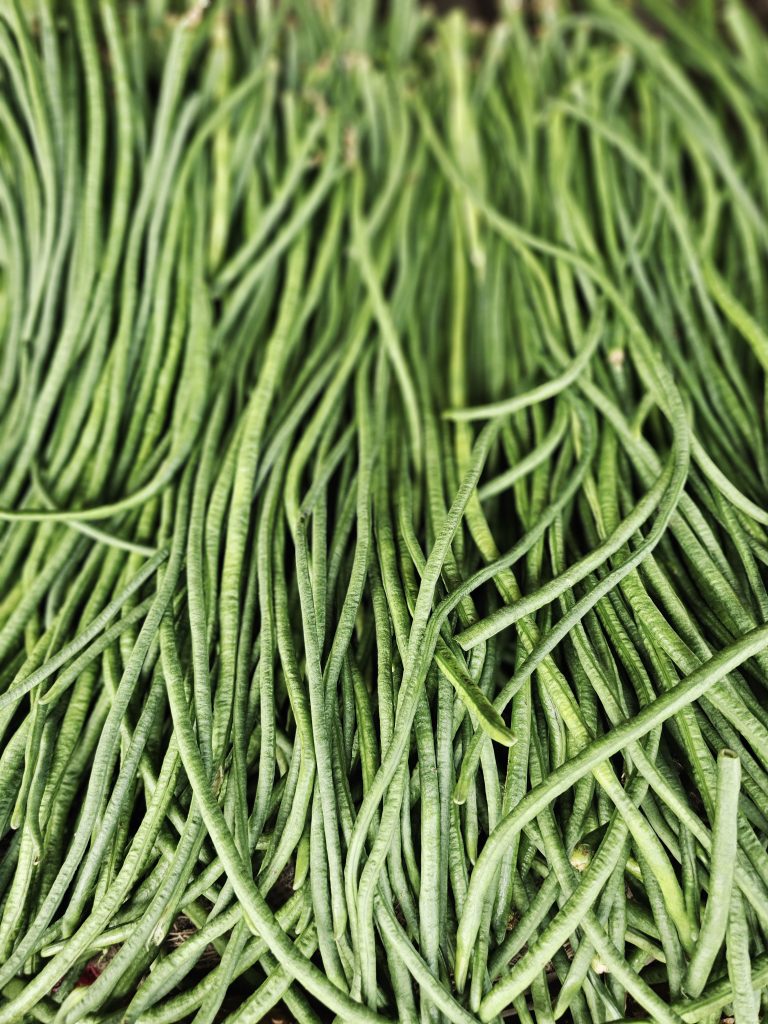 A fresh collection of long green beans fills the frame, creating a natural pattern of slender shapes and different shades of green. The close-up view highlights their fresh texture and simple agricultural beauty. Captured in Peruvayal, Kozhikode, Kerala.