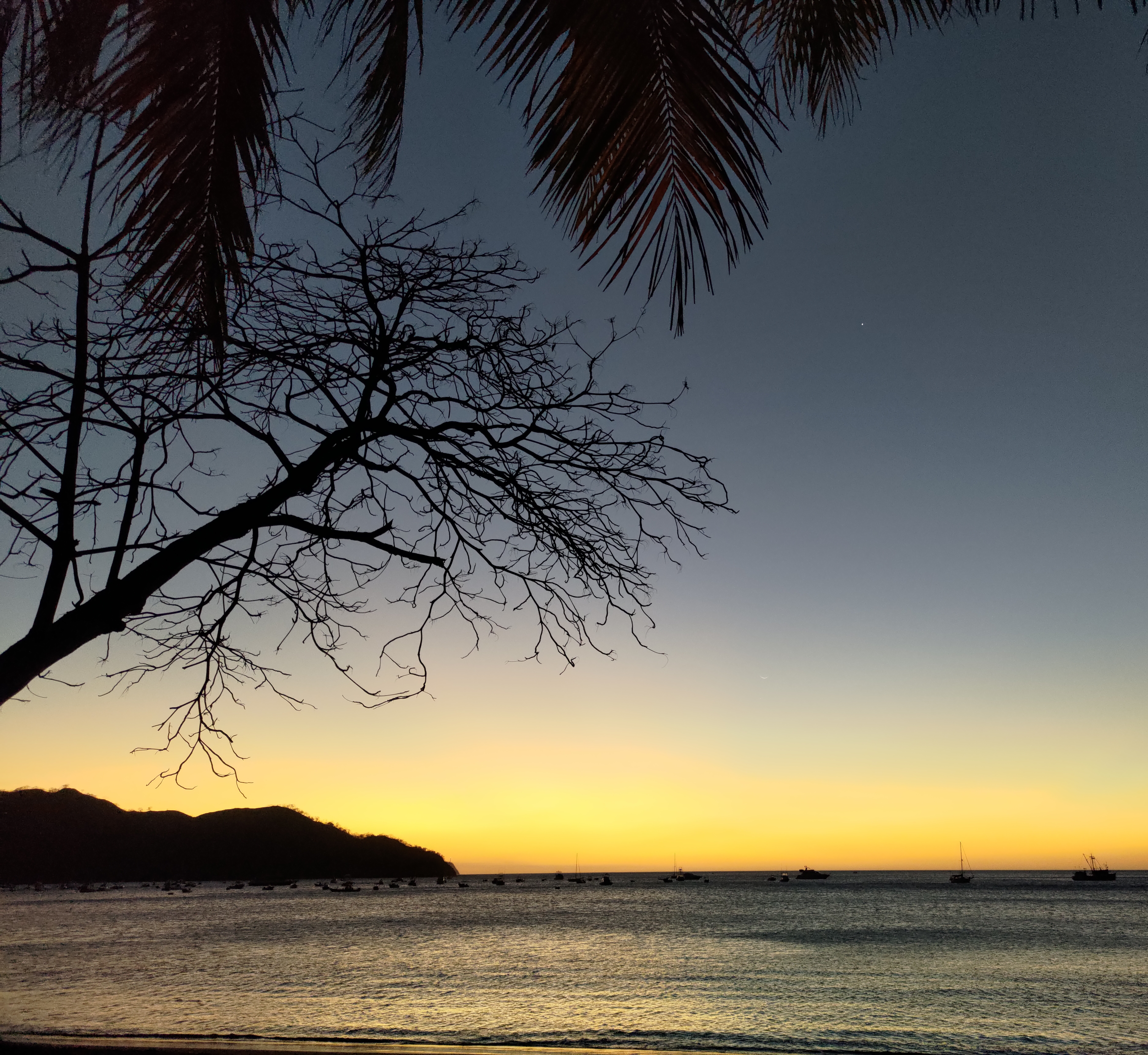 A calm beach at dusk with the sea stretching toward the horizon beneath a fading sunset. Several boast rest on the water, while the silhouettes of palm fronds, a leafless tree, and a distant headland frame the scene against the twilight sky