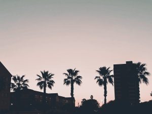 Palm trees and buildings silhouetted against a soft pink sunset sky.