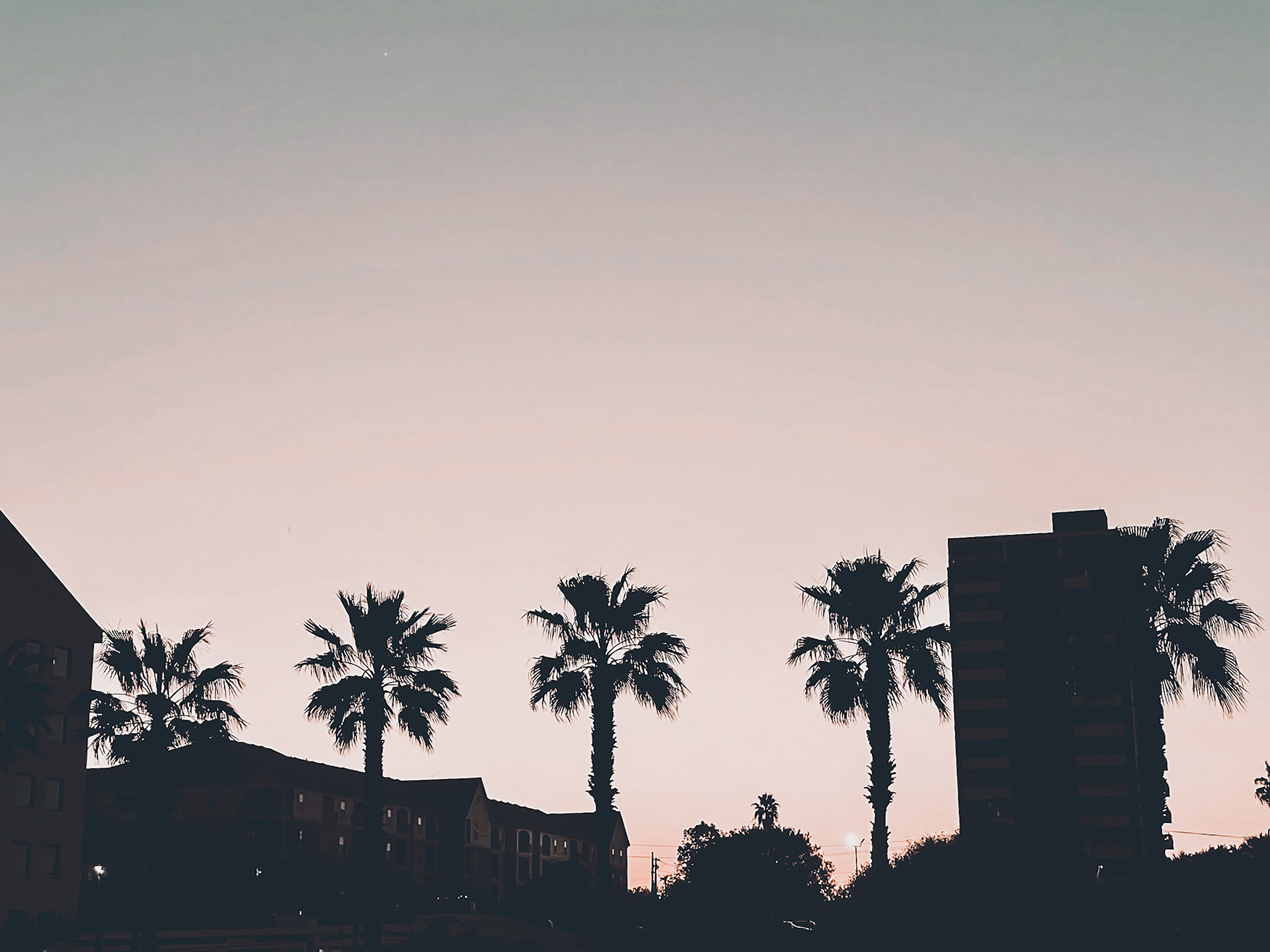 Palm trees and buildings silhouetted against a soft pink sunset sky.
