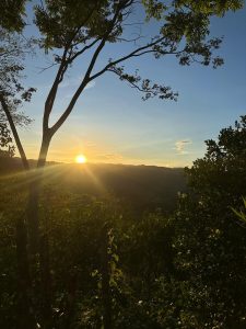 Sunset over a peaceful landscape with green trees and wooden fence posts in the foreground.