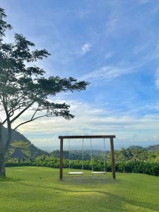 Two wooden swings on a grassy lawn overlooking a lush landscape beneath a blue sky