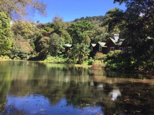 A peaceful landscape with calm water reflecting the blue sky, surrounded by green trees, colorful plants, and wooden houses.