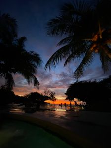 Sunset over calm water with colorful skies and silhouetted palm trees.