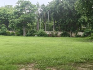 A wide, open green space covered in lush grass extends across the foreground, creating a vivid carpet of greenery.