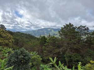 Wide green mountain landscape with tropical vegetation in the foreground and cloudy skies over distant hills.