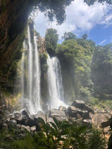 
A waterfall flowing over rocky cliffs into a river, surrounded by lush green trees.
