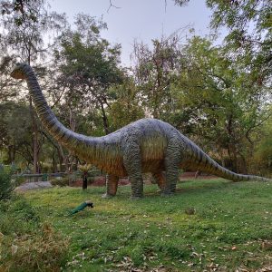 A life sized sculpture of a brontosaurus in a zoo.