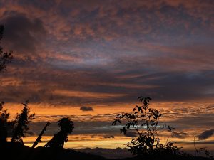 
A colorful sunset over mountains with silhouetted trees in the foreground.
