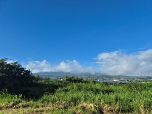 Green grass and shrubs fill the foreground beneath a bright blue sky.
Low clouds drift across a distant mountain ridge and partially cover the slopes.
The scene shows a broad rural landscape with scattered buildings in the distance.