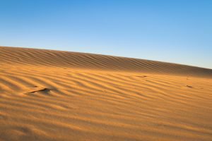 Golden sand dune with wind-sculpted ripples under a clear blue sky.
