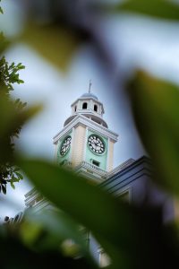 A classic clock tower with a mint green and circular clock face framed through blurred green leaves.