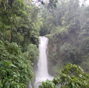 A tall waterfall cascades into a river, surrounded by dense tropical rainforest, Lush green trees, vines, and ferns frame the scene, while mist rises from the falling water, creating a peaceful and natural atmosphere