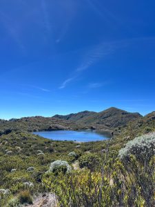A glacial lake nestled among páramo highlands near the summit of Cerro Chirripó, Costa Rica's highest peak, under a clear blue sky