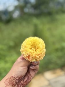 A hand with henna designs holds a bright yellow marigold flower against a blurred green background.
