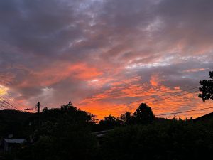 Vibrant sunset with orange, red, purple, and blue skies over silhouetted trees and rooftops.