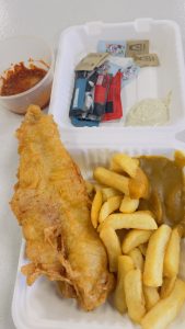 Samosa and golden fries served in a styrofoam container.