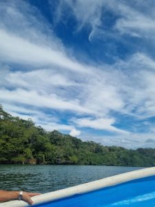 A scenic view of a lake with forests surrounding it; the sky seems beautifully painted with white clouds. One corner of the picture had a human hand holding the railing. 