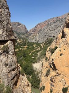 A breathtaking view of a deep canyon surrounded by steep, rocky walls in various shades of brown and gray.