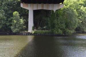 Concrete bridge supports rise from a calm river, with dense green trees and climbing vines surrounding the structure. Sunlight reflects on the water while the underside of the bridge cast a broad shadow across the river, creating a contrast between light and shade 