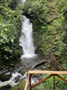 
A waterfall cascades down rocky terrain, surrounded by lush green foliage and tall trees.