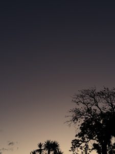 A serene twilight scene features a gradient sky transitioning from deep purples to soft oranges, signaling the end of the day.